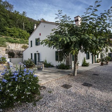 Agriturismo Le Volpi Baone Eksteriør bilde