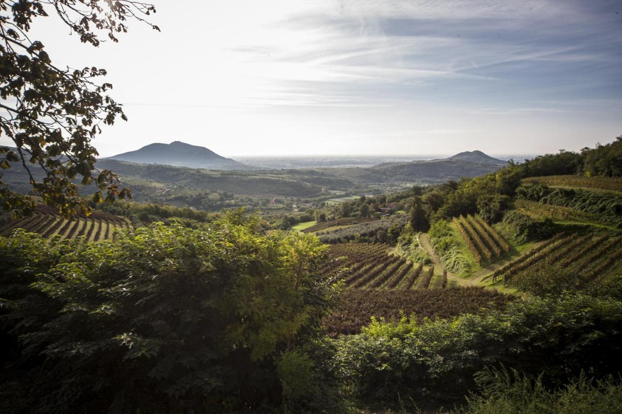 Agriturismo Le Volpi Baone Eksteriør bilde